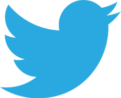 Twitter_bird_logo_2012.svg